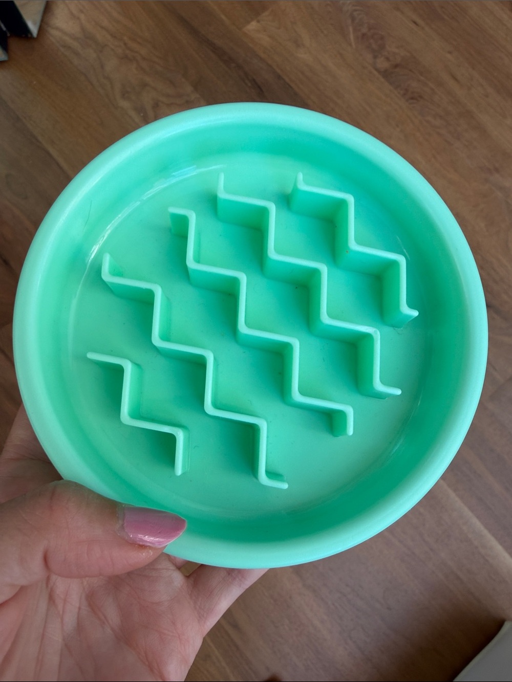 🗽Hound Slow Feeder Pet Bowl